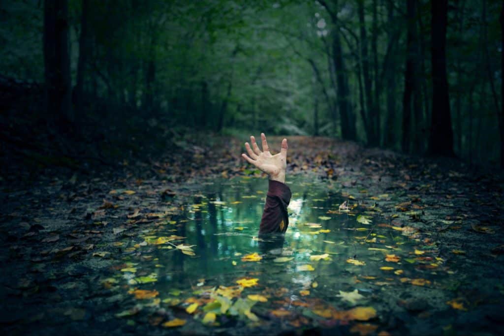 Hand coming out of pond in fake drowning, in humor.