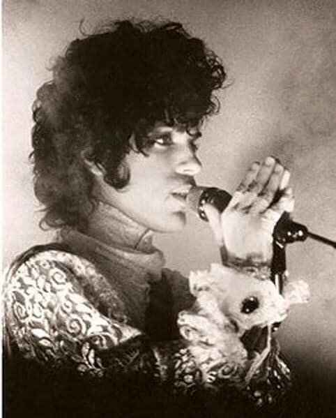 Prince with two hands on his microphone, singing. Photo courtesy of Joel Bremer. Image from commons.m.wikimedia.com