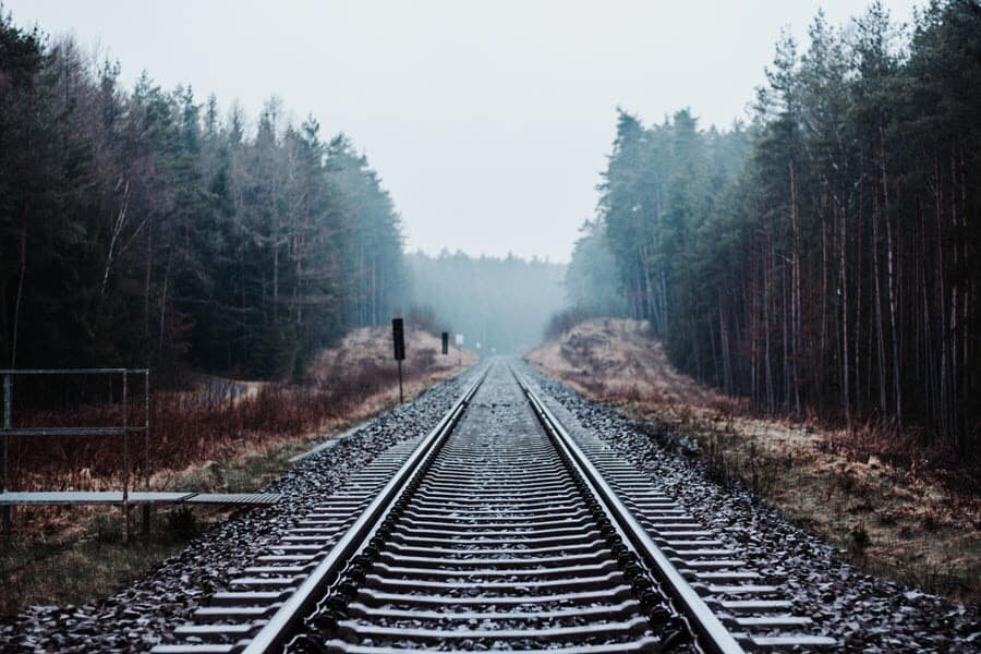 Railroad track by trees.