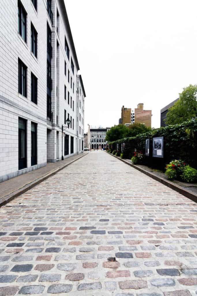 Glorious buildings and sidewalk and bushes. A very clean place.