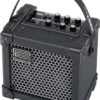 Roland Micro Cube Amplifier